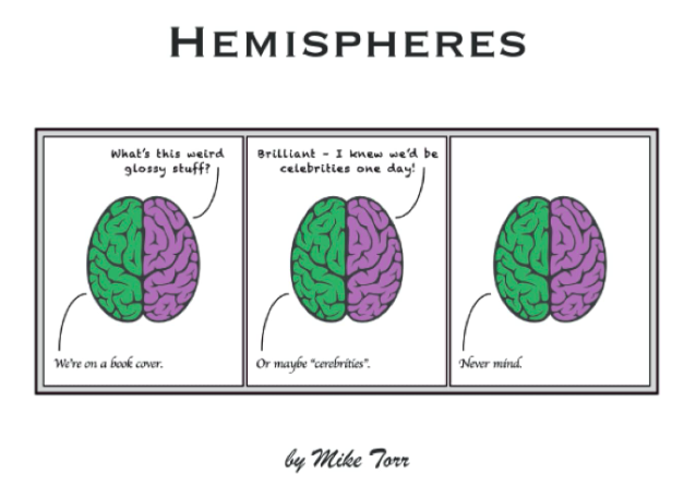 The cover of the paperback book of my web comic, "Hemispheres", which is based on snarky conversations between the two halves of the brain.